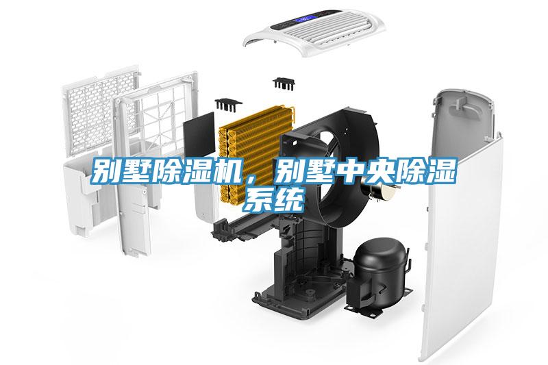 別墅除濕機(jī)，別墅中央除濕系統(tǒng)