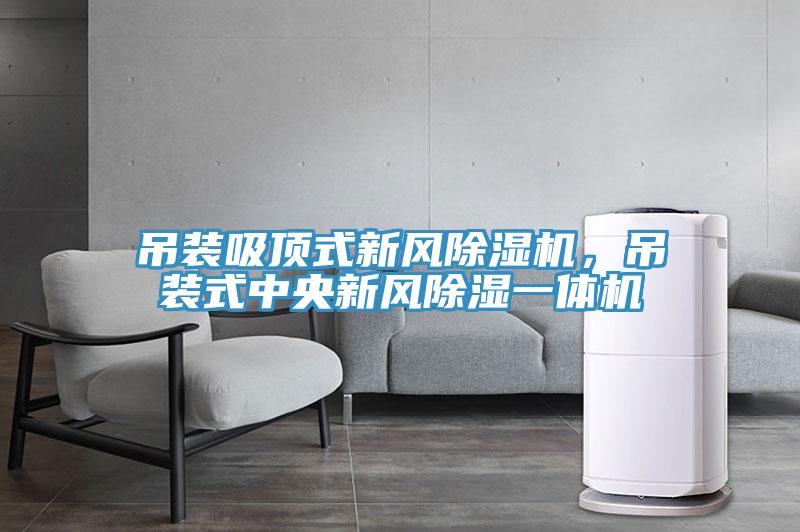 吊裝吸頂式新風除濕機，吊裝式中央新風除濕一體機