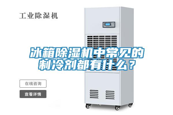 冰箱除濕機中常見的制冷劑都有什么？