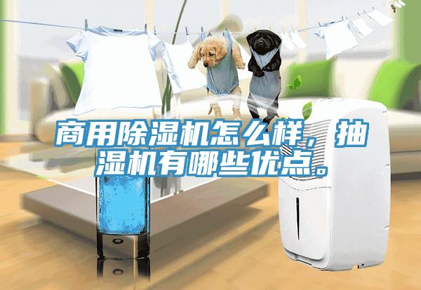 商用除濕機(jī)怎么樣，抽濕機(jī)有哪些優(yōu)點。