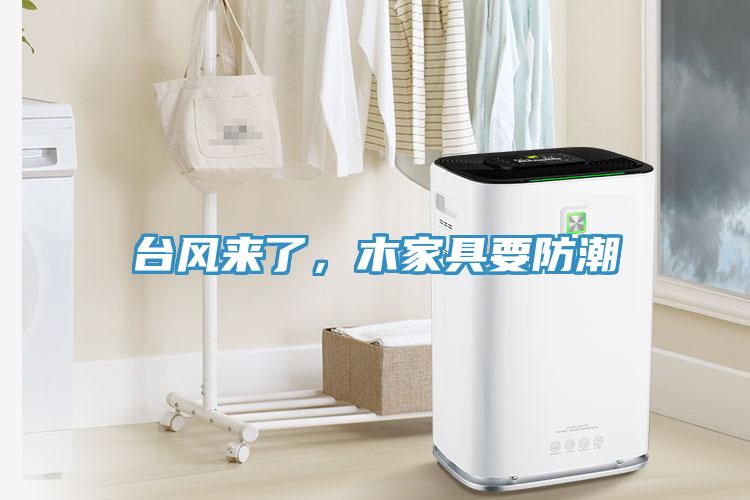 臺(tái)風(fēng)來了，木家具要防潮