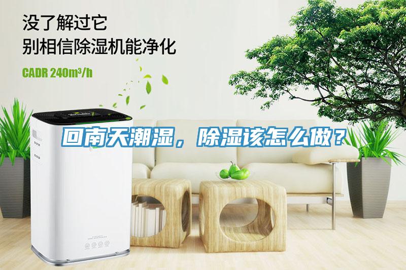 回南天潮濕，除濕該怎么做？