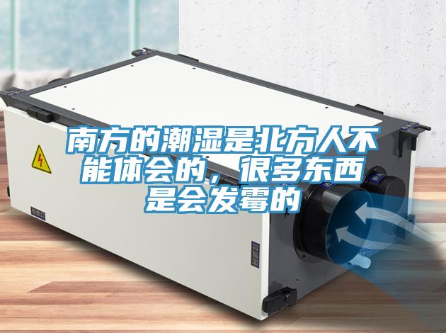 南方的潮濕是北方人不能體會(huì)的，很多東西是會(huì)發(fā)霉的
