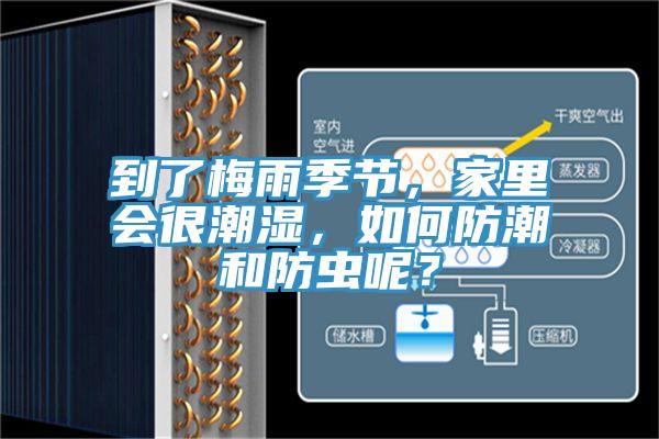 到了梅雨季節(jié)，家里會很潮濕，如何防潮和防蟲呢？