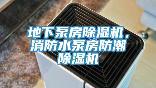 地下泵房除濕機(jī)，消防水泵房防潮除濕機(jī)