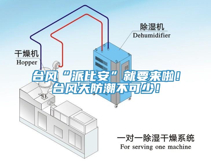 臺風(fēng)“派比安”就要來啦！臺風(fēng)天防潮不可少！