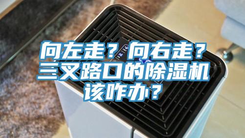 向左走？向右走？三叉路口的除濕機(jī)該咋辦？
