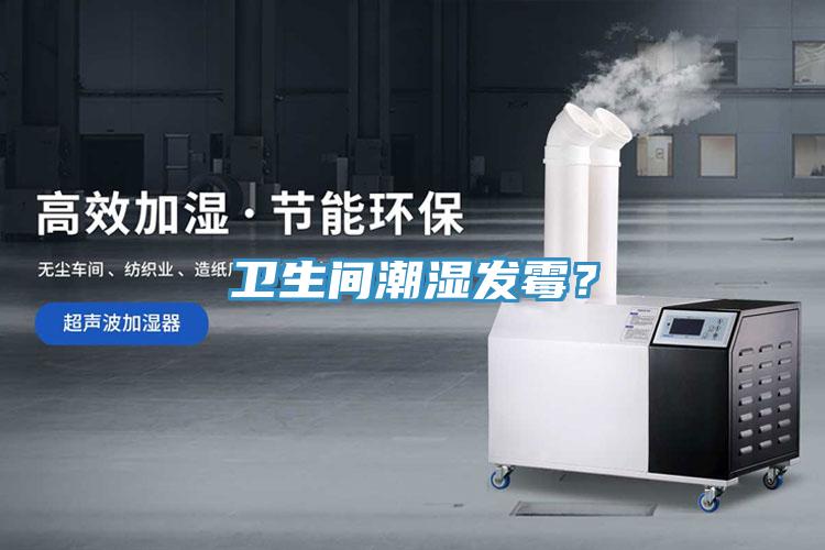 衛(wèi)生間潮濕發(fā)霉？