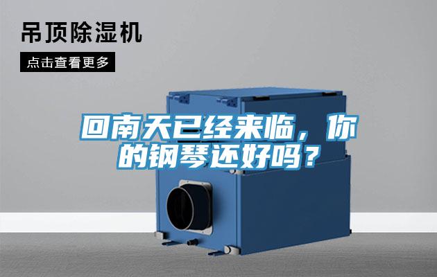回南天已經(jīng)來臨，你的鋼琴還好嗎？