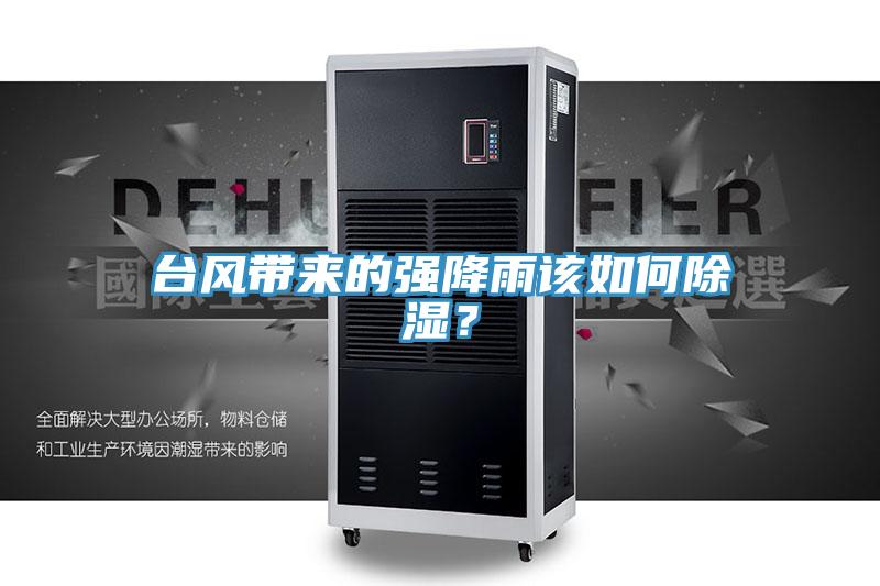 臺風(fēng)帶來的強降雨該如何除濕？