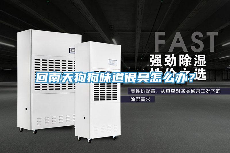 回南天狗狗味道很臭怎么辦？