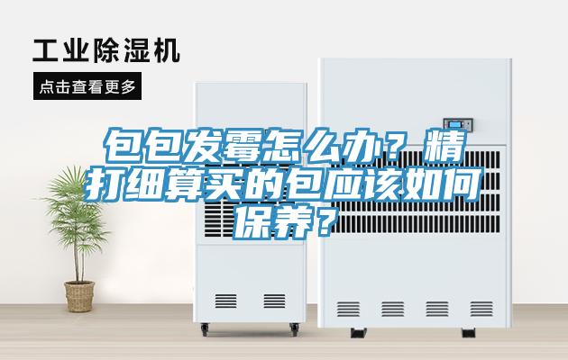 包包發(fā)霉怎么辦？精打細(xì)算買的包應(yīng)該如何保養(yǎng)？