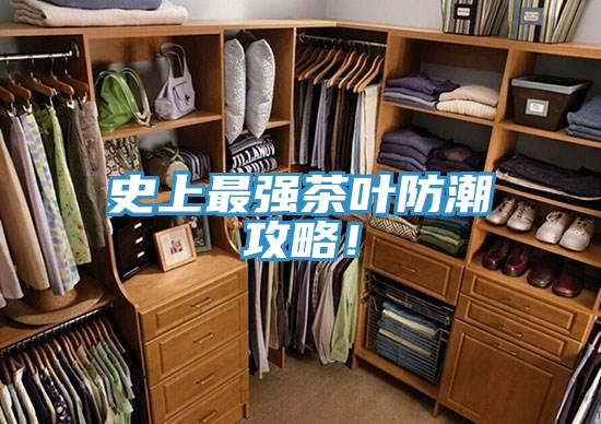 史上最強(qiáng)茶葉防潮攻略！