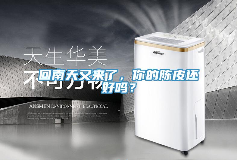 回南天又來了，你的陳皮還好嗎？