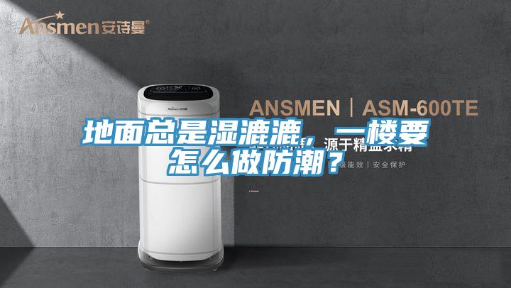 地面總是濕漉漉，一樓要怎么做防潮？