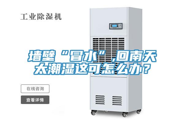 墻壁“冒水”,回南天太潮濕這可怎么辦？