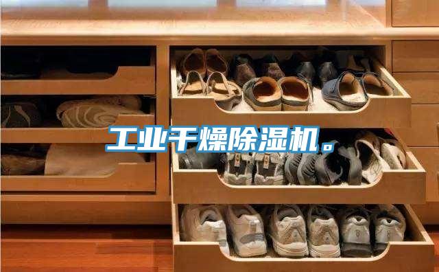 工業(yè)干燥除濕機。