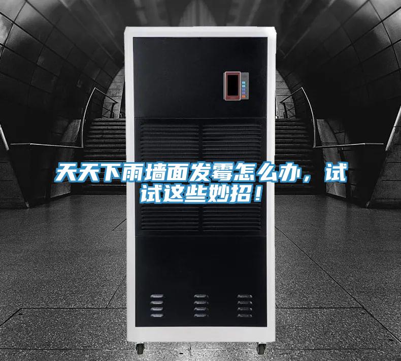 天天下雨墻面發(fā)霉怎么辦，試試這些妙招！