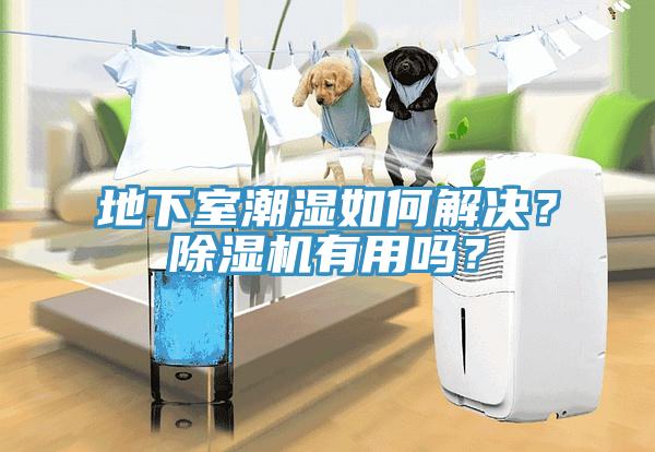 地下室潮濕如何解決？除濕機有用嗎？