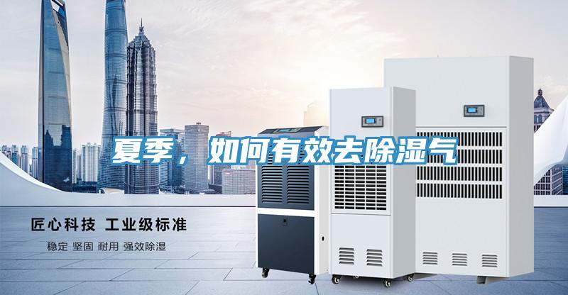 夏季，如何有效去除濕氣
