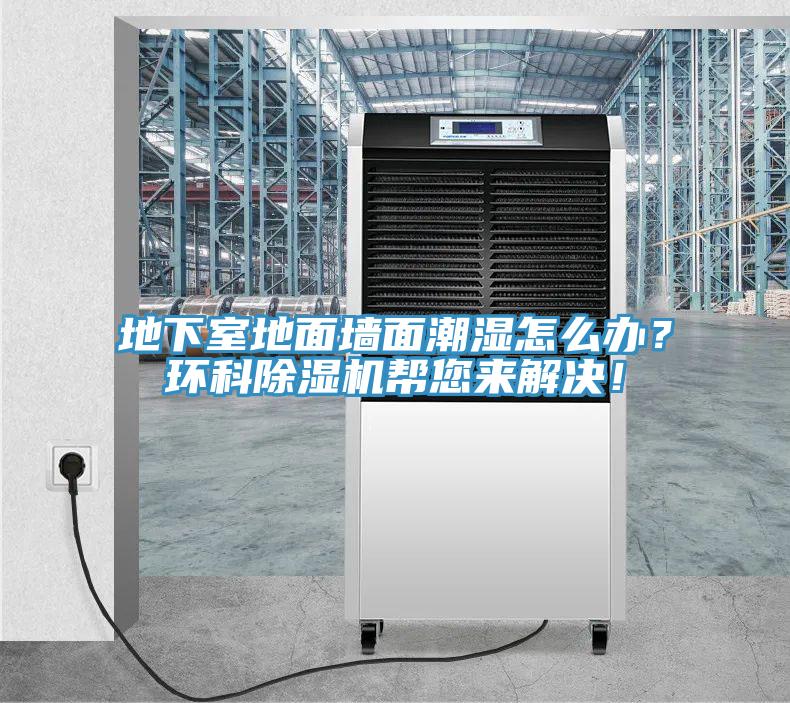 地下室地面墻面潮濕怎么辦？環(huán)科除濕機幫您來解決！