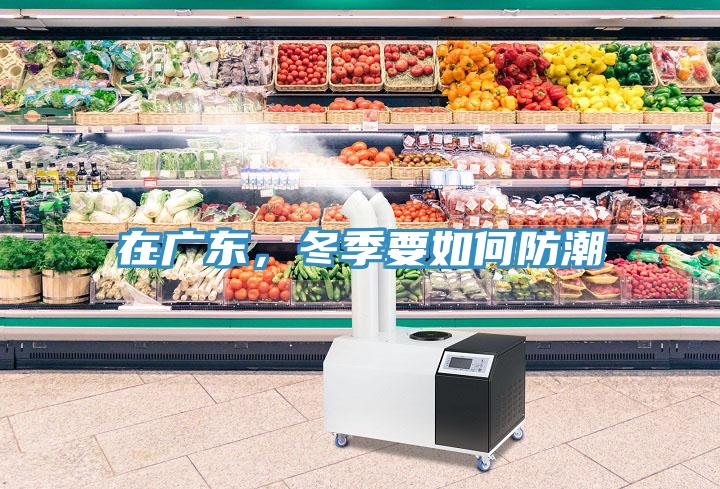 在廣東，冬季要如何防潮