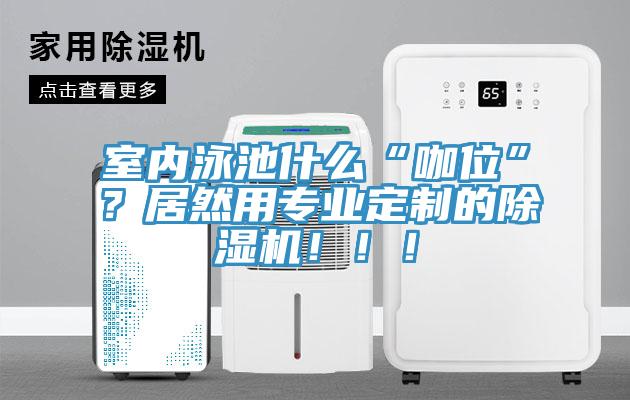 室內(nèi)泳池什么“咖位”？居然用專業(yè)定制的除濕機?。。?/></p>
                            <p style=