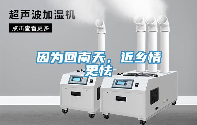 因?yàn)榛啬咸?，近鄉(xiāng)情更怯
