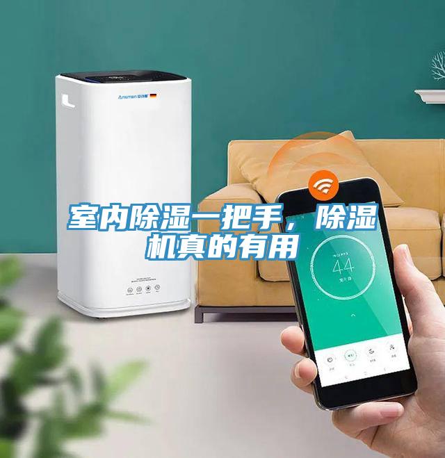 室內(nèi)除濕一把手，除濕機真的有用