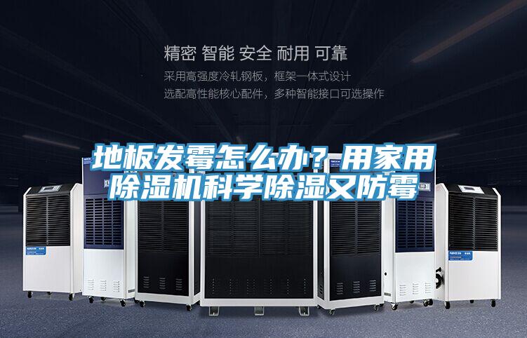 地板發(fā)霉怎么辦？用家用除濕機(jī)科學(xué)除濕又防霉