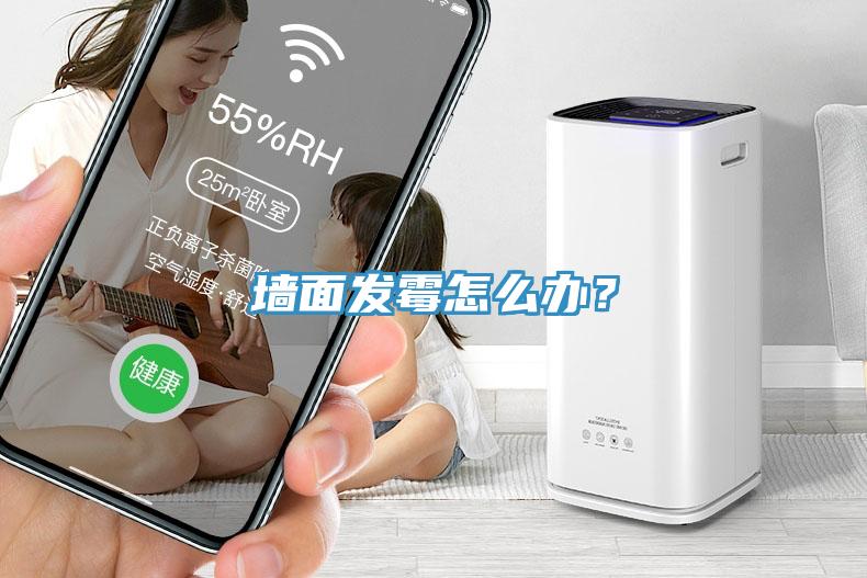墻面發(fā)霉怎么辦？