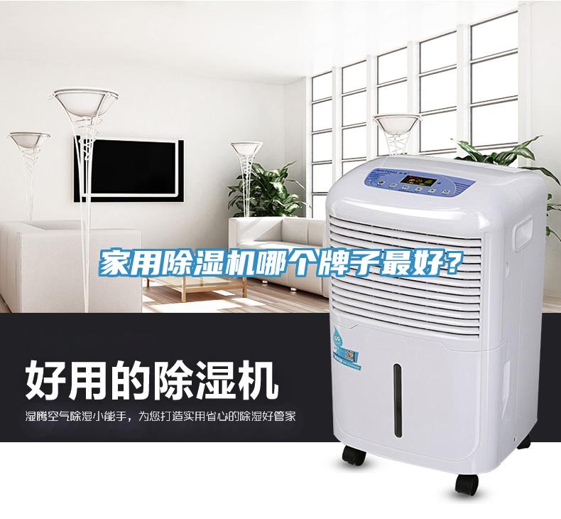 家用除濕機哪個牌子最好？