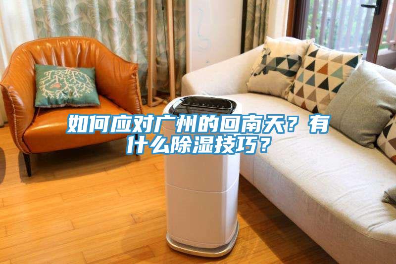 如何應(yīng)對廣州的回南天？有什么除濕技巧？