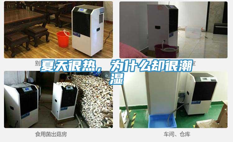 夏天很熱，為什么卻很潮濕