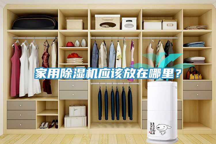 家用除濕機應(yīng)該放在哪里？