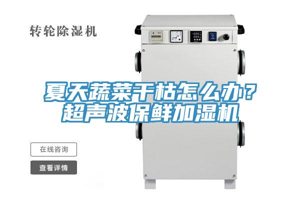 夏天蔬菜干枯怎么辦？超聲波保鮮加濕機