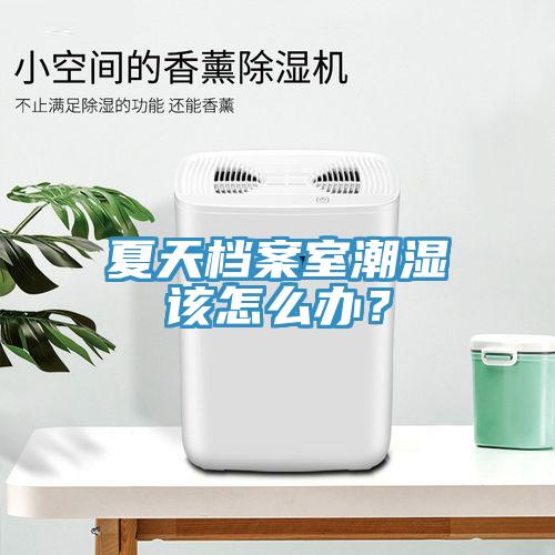夏天檔案室潮濕該怎么辦？