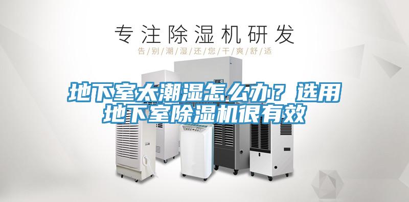 地下室太潮濕怎么辦？選用地下室除濕機很有效