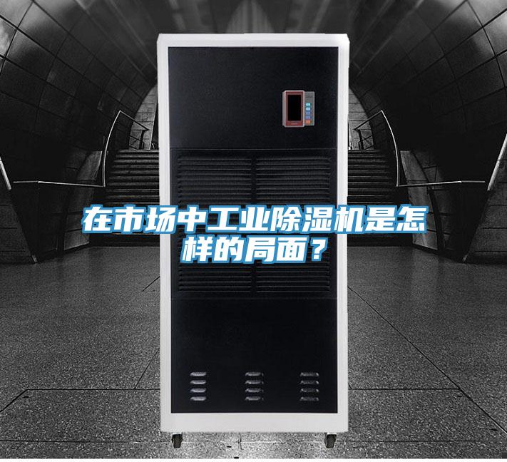 在市場中工業(yè)除濕機是怎樣的局面？