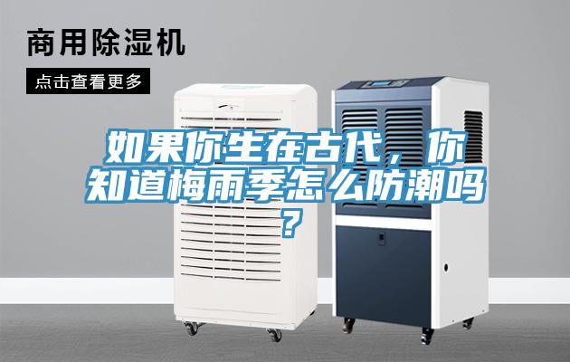 如果你生在古代，你知道梅雨季怎么防潮嗎？