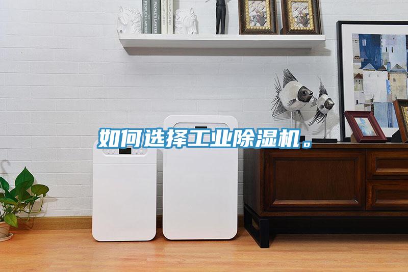 如何選擇工業(yè)除濕機(jī)。