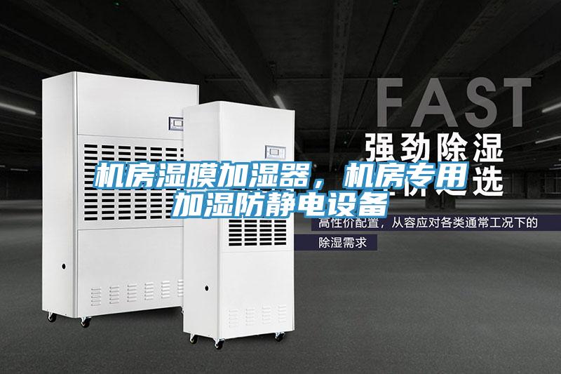 機(jī)房濕膜加濕器，機(jī)房專用加濕防靜電設(shè)備