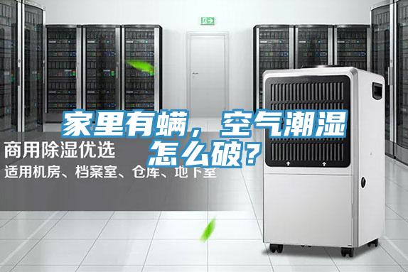 家里有螨，空氣潮濕怎么破？