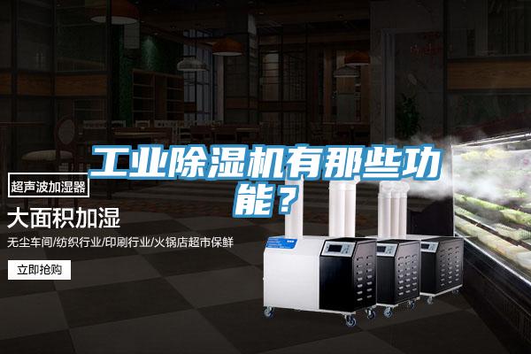 工業(yè)除濕機有那些功能？