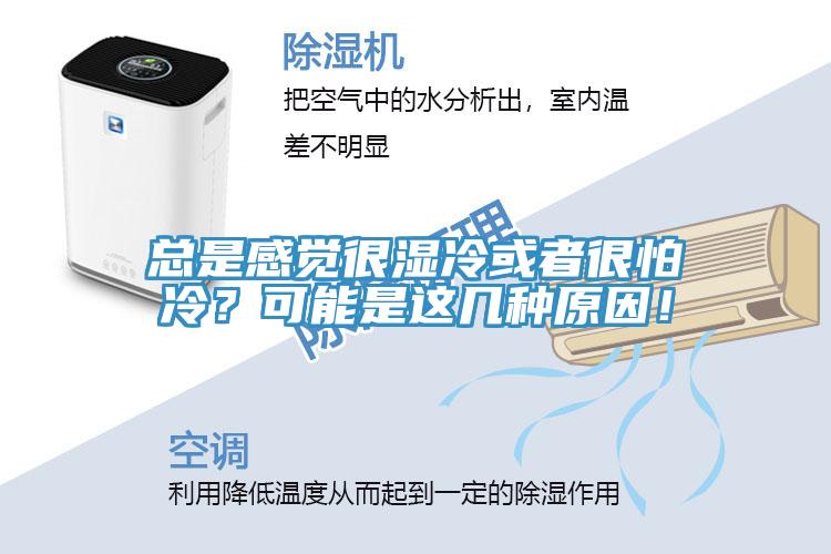 總是感覺(jué)很濕冷或者很怕冷？可能是這幾種原因！