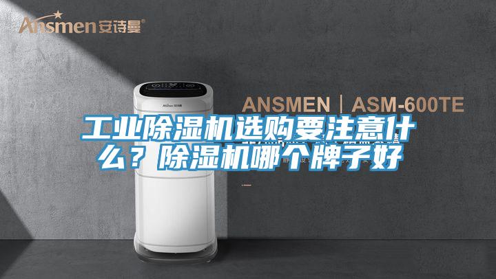 工業(yè)除濕機(jī)選購(gòu)要注意什么？除濕機(jī)哪個(gè)牌子好