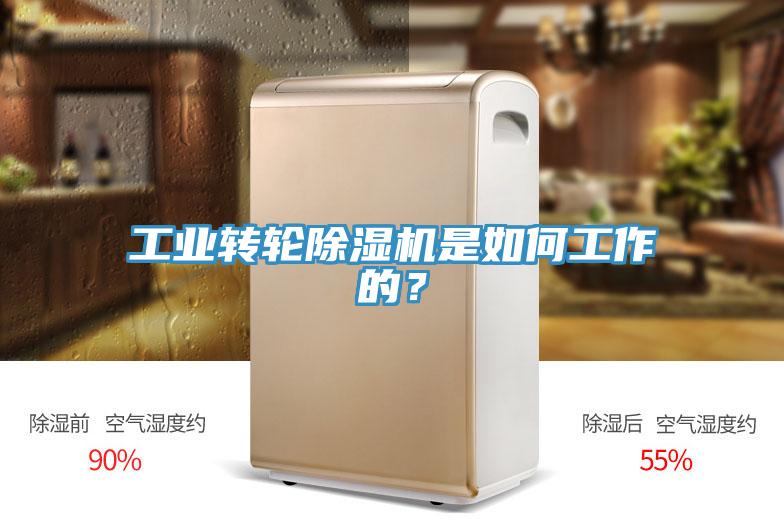 工業(yè)轉(zhuǎn)輪除濕機(jī)是如何工作的？