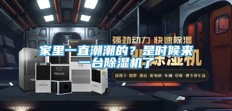 家里一直潮潮的？是時候來一臺除濕機了