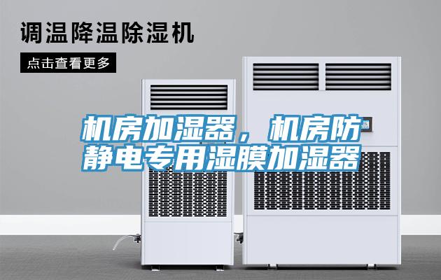 機(jī)房加濕器，機(jī)房防靜電專用濕膜加濕器