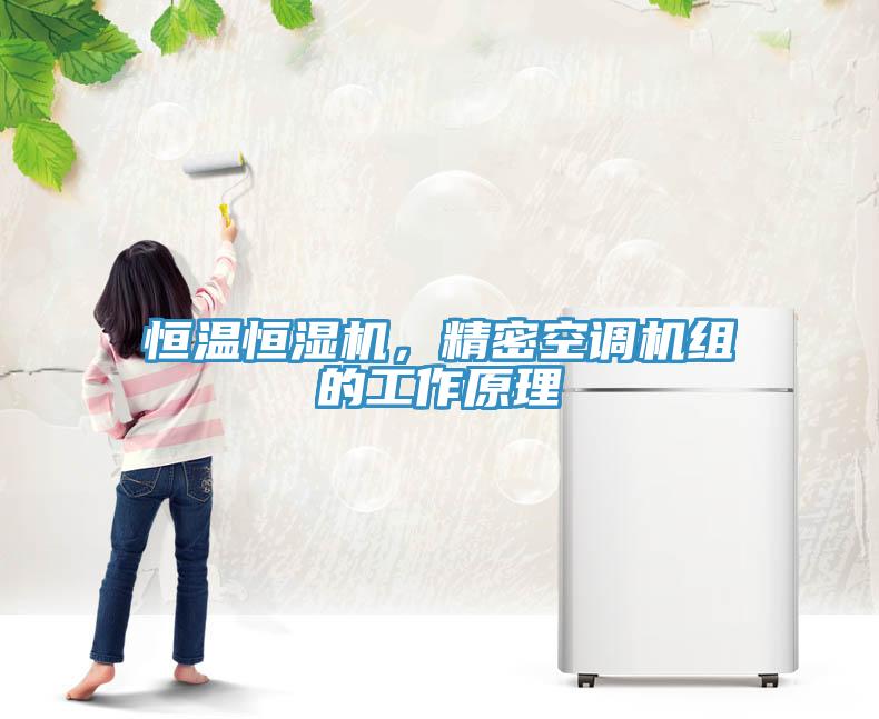 恒溫恒濕機，精密空調(diào)機組的工作原理
